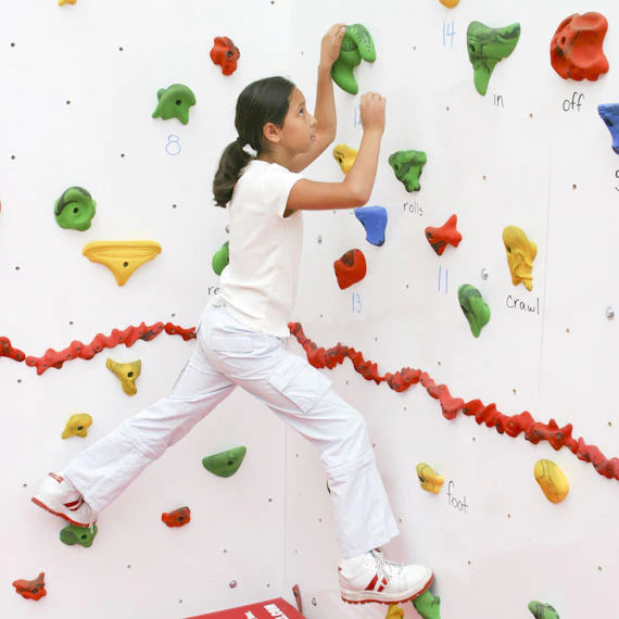 Dry Erase Climbing Walls for Sale