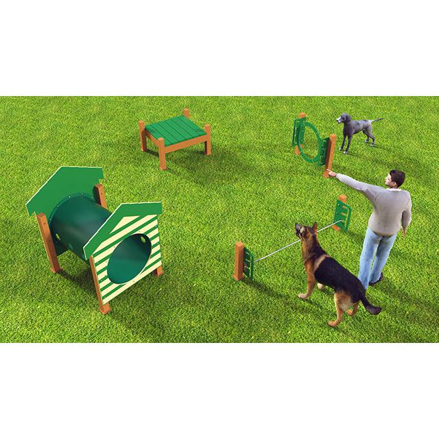 Dog Park Design Principles: Layout, Flow, and Safety Considerations for Commercial Facilities