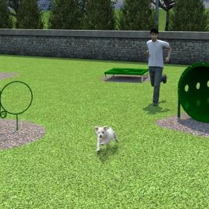 Dog Park Equipment