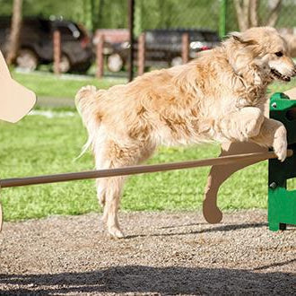 Dog Park Equipment