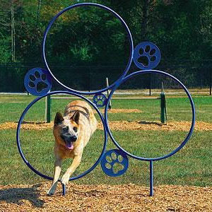 Dog Park Equipment