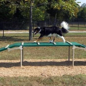 Dog Park Equipment
