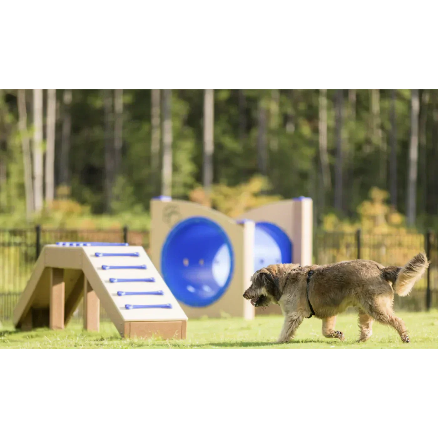 Dog Park Equipment 