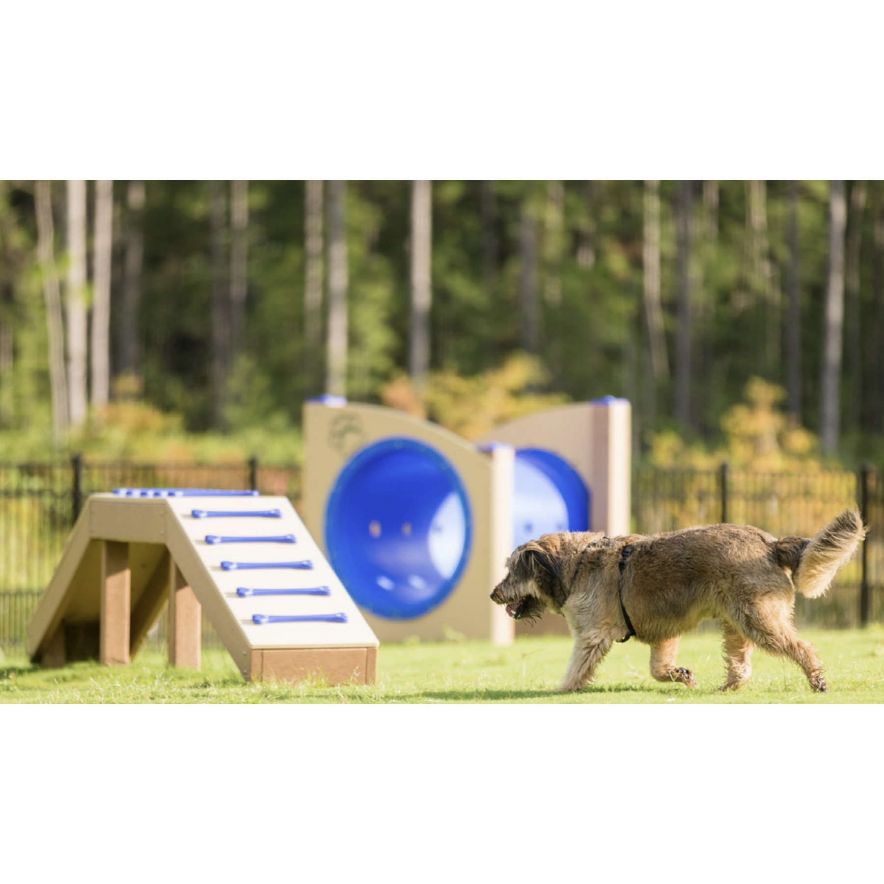 The Complete Buyer's Guide to Dog Park Equipment for Commercial Facilities