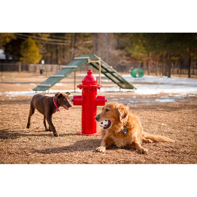 Dog Park Equipment