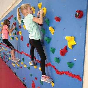 Traverse Climbing Walls for Sale