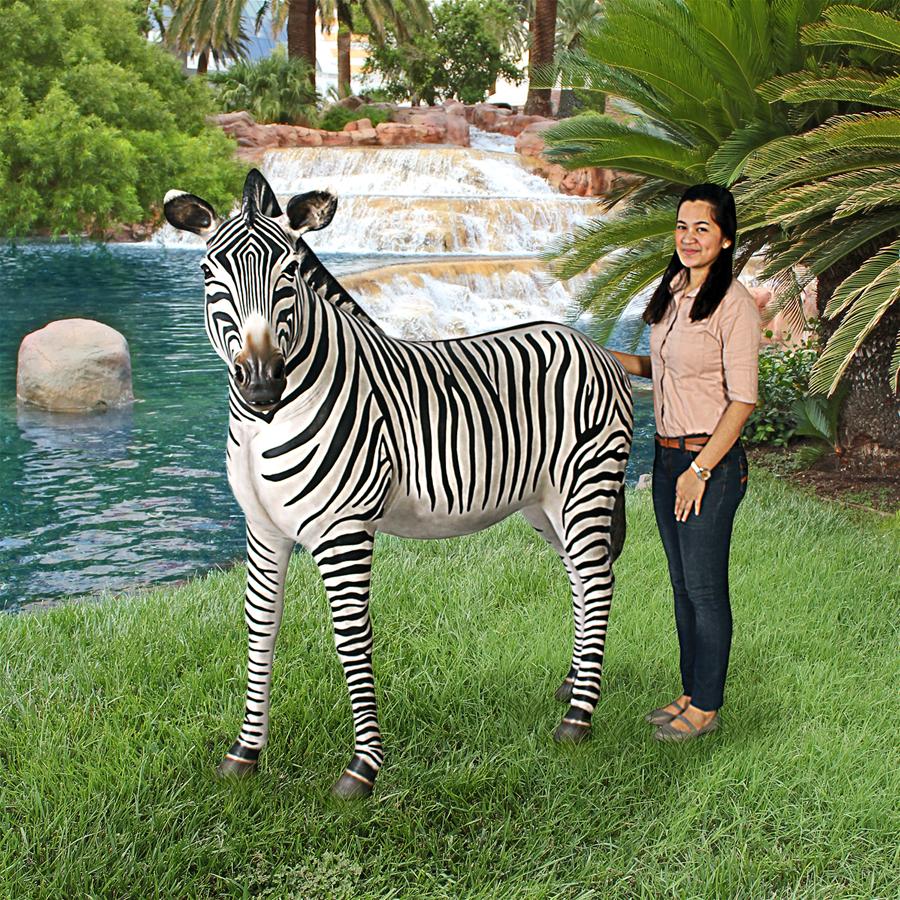Zebra Statues For Sale