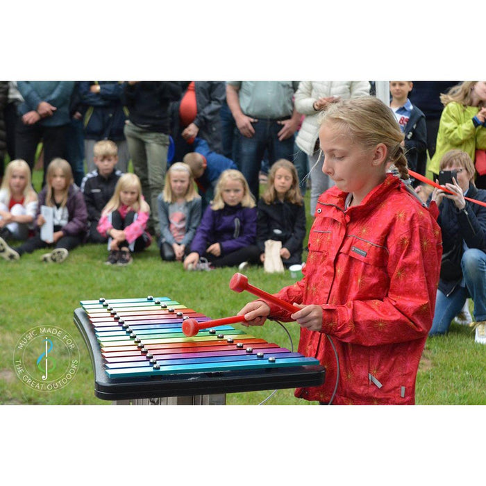Percussion Play Capella