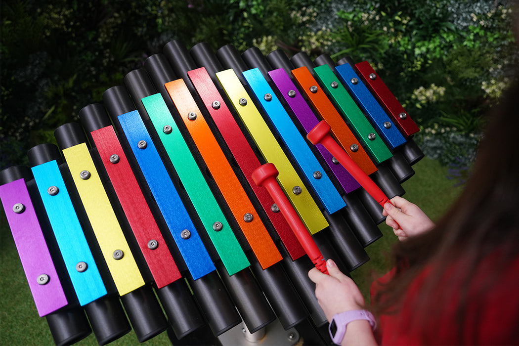Percussion Play Rainbow Sansa-Rimba