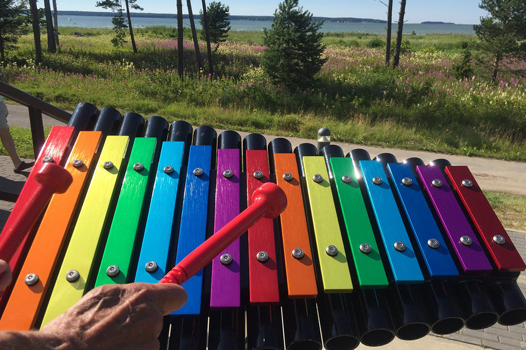 Percussion Play Rainbow Cavatina