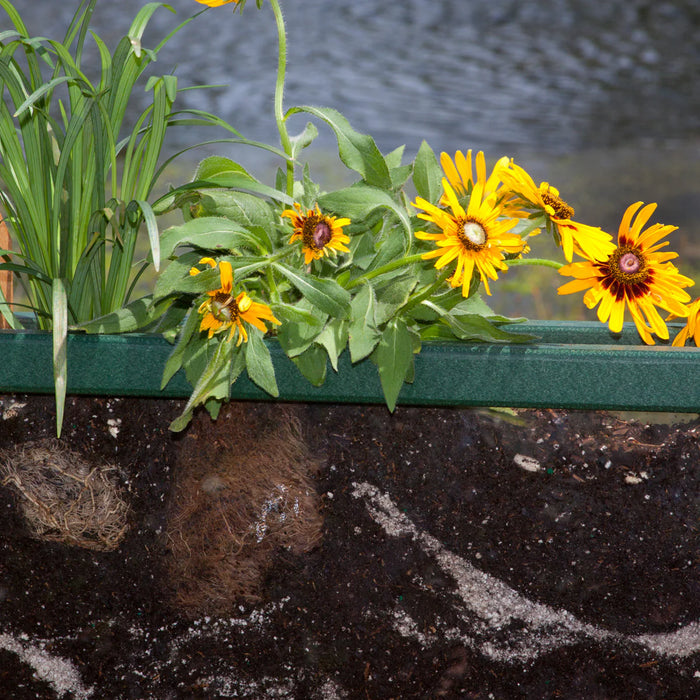 PlayMore Design Root View Planter