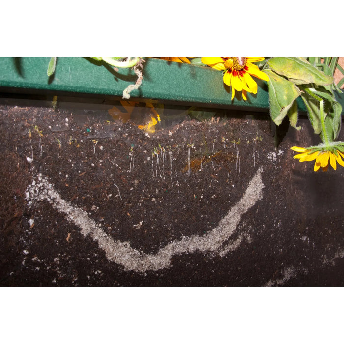 PlayMore Design Root View Planter