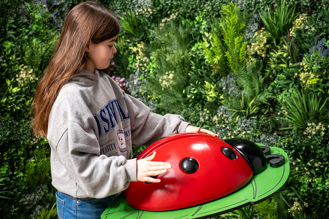 Percussion Play Ladybug