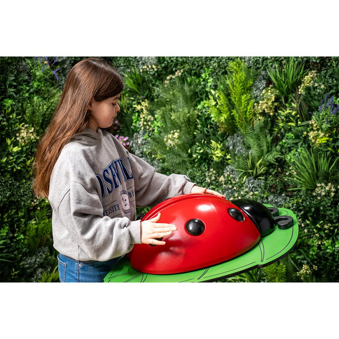 Percussion Play Ladybug