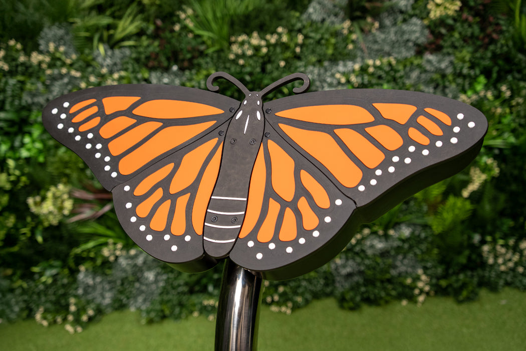 Percussion Play Butterfly
