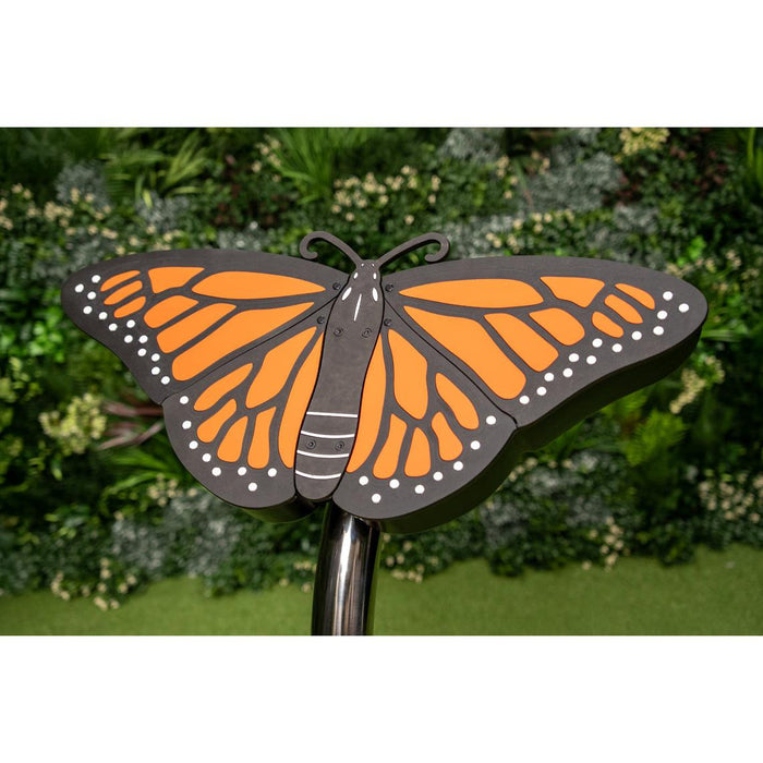 Percussion Play Butterfly