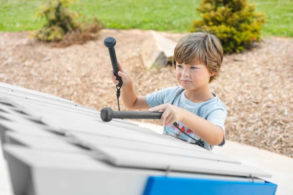 Freenotes Harmony Park Yantzee (Outdoor Music Instruments)
