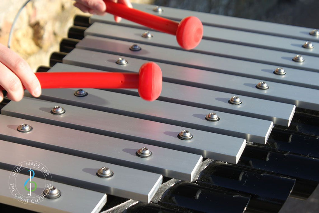 Percussion Play Soprano Quartet Ensemble