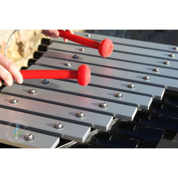 Percussion Play Soprano Quartet Ensemble