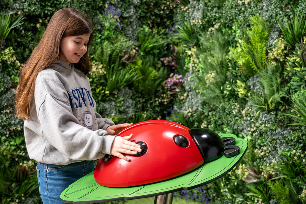 Percussion Play Ladybug