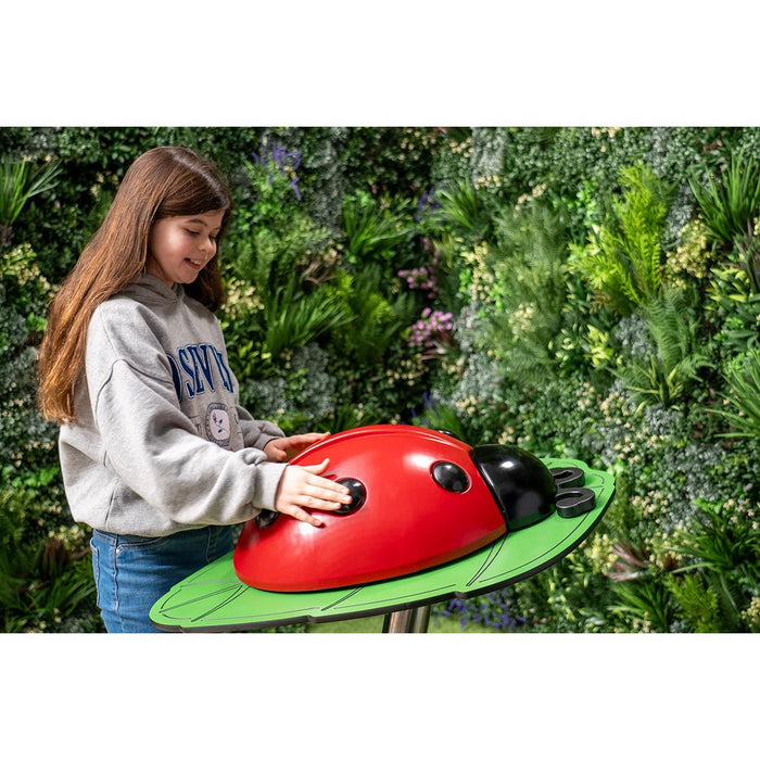 Percussion Play Ladybug