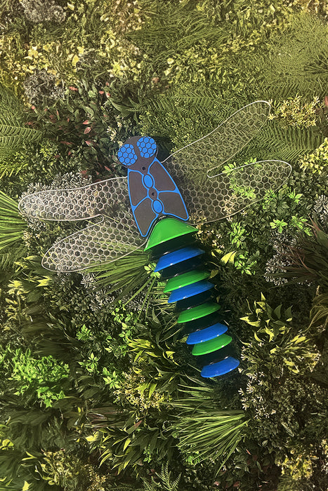 Percussion Play Dragonfly