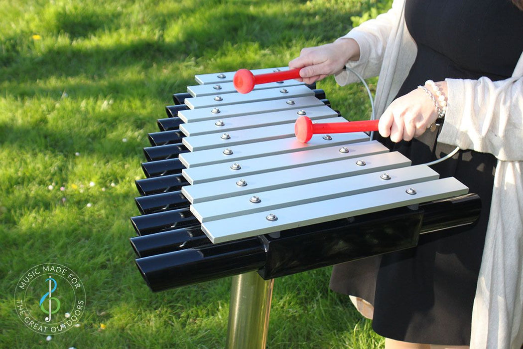 Percussion Play Cadenza