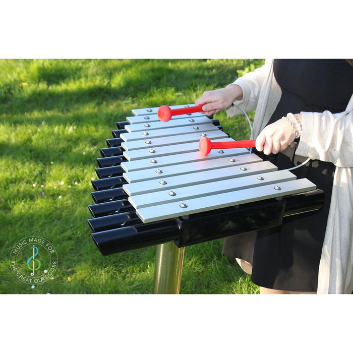 Percussion Play Cadenza