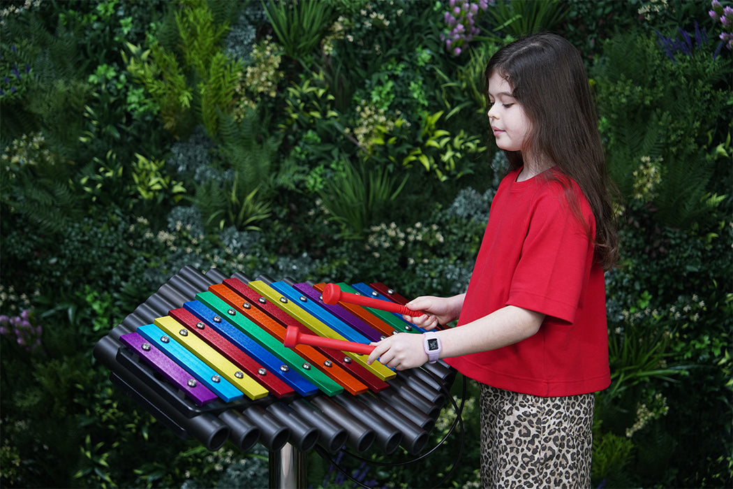 Percussion Play Rainbow Sansa-Rimba