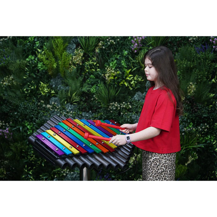 Percussion Play Rainbow Sansa-Rimba
