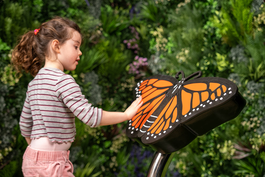 Percussion Play Butterfly