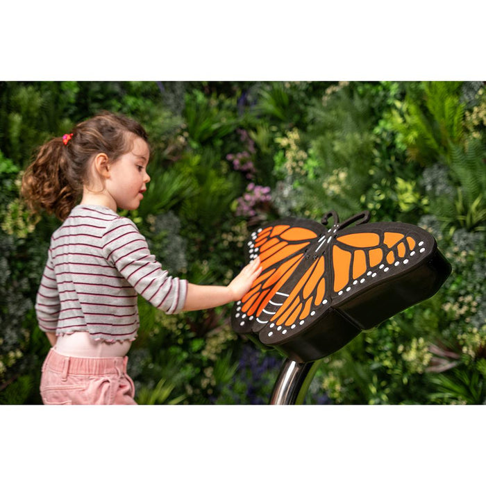 Percussion Play Butterfly