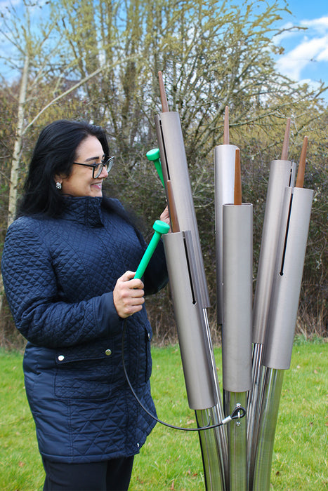 Percussion Play Cattails