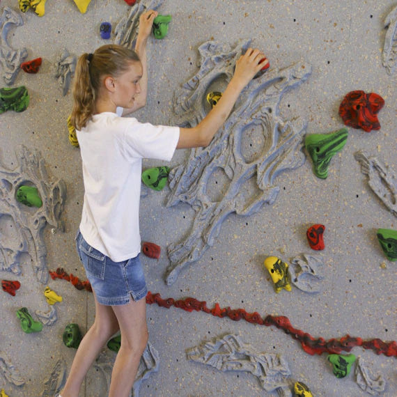 Everlast Climbing 8' H Relief-Feature™ Climbing Wall-Outdoor Workout Supply