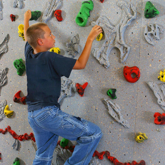Everlast Climbing 10' H Relief-Feature™ Climbing Wall-Outdoor Workout Supply