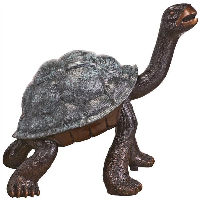 Design Toscano- The Curious Tortoise Cast Bronze Turtle Garden Statue