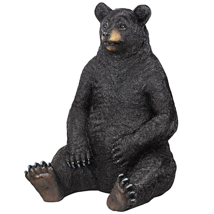 black bear sitting
