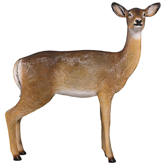 Design Toscano-  Forest White Tailed Doe, Female Deer Statue