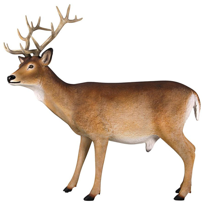Design Toscano- Forest White Tailed Buck, Male Deer Statue
