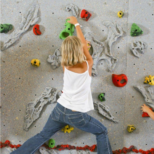Everlast Climbing 10' H Relief-Feature™ Climbing Wall-Outdoor Workout Supply