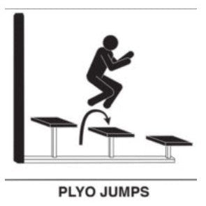 StayFIT Fitness Station- Plyo Jump-Outdoor Workout Supply