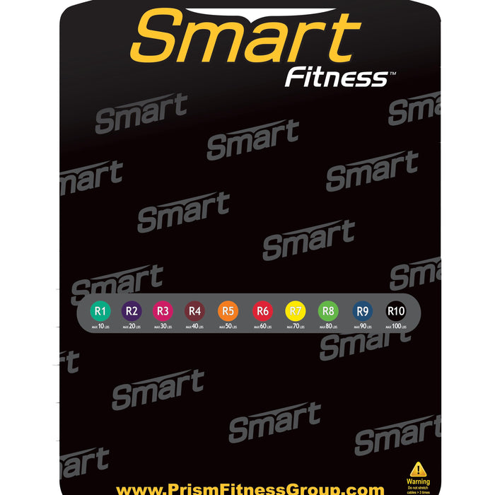 Prism Fitness Smart Resistance Wall Gym