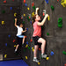Everlast Climbing Superior Rock™ Climbing Wall-Outdoor Workout Supply