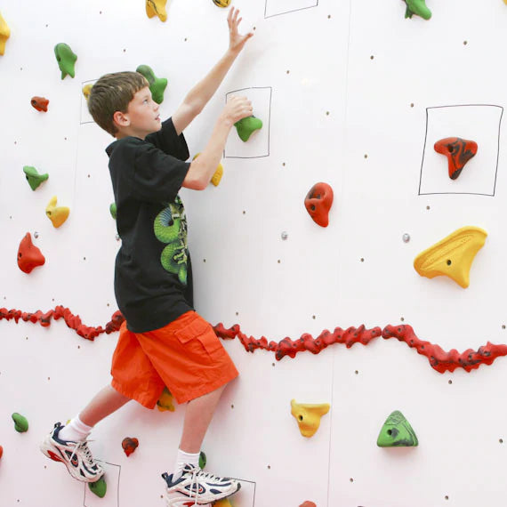 Everlast Climbing 10' H Discovery® Dry-Erase Climbing Wall-Outdoor Workout Supply